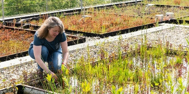 Bodemonderzoek door het IJkcentrum om het bodemleven in Nederland te herstellen. (Bron RVO)