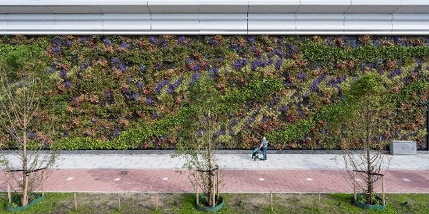 Groene gevel Mall-Leidschendam. 
